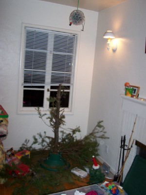 former Christmas tree