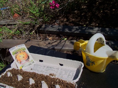 future jack-o-lantern