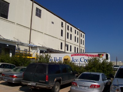 Blue Bell Plant