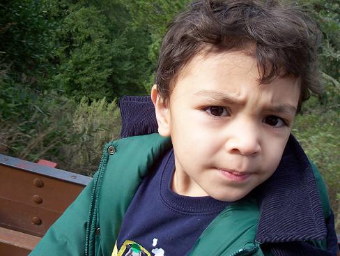 david and tilden train