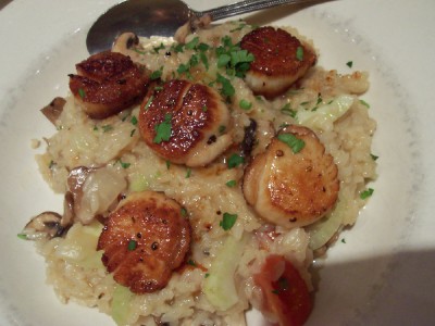 scallops