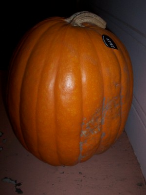 2006 punkin