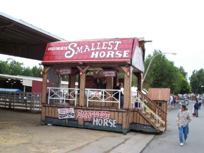 teensie horsie exhibit hall