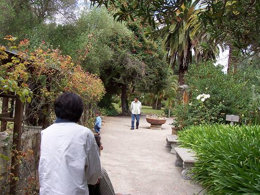 San Juan Garden