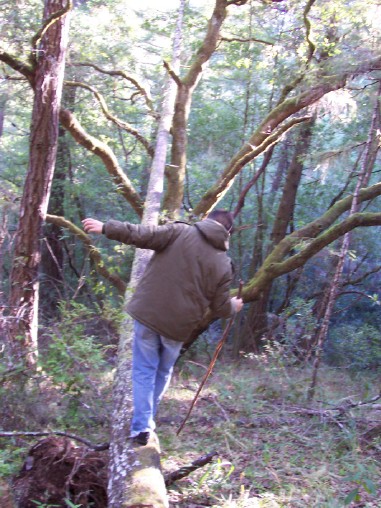 Jeffrey goes off trail.