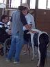 Jeff & Tony & Ponies
