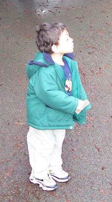 david and tilden train